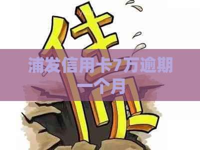 浦发信用卡7万逾期一个月
