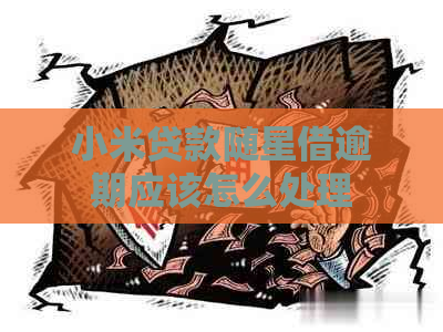 小米贷款随星借逾期应该怎么处理