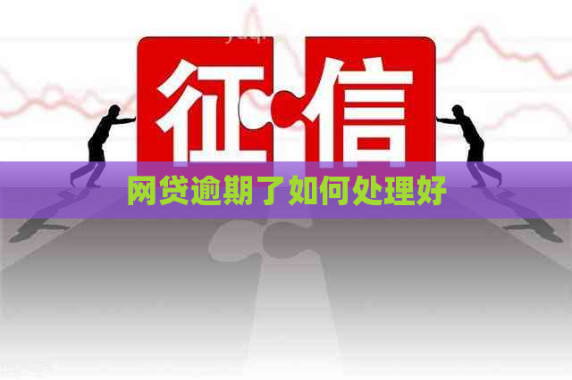 网贷逾期了如何处理好