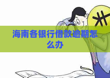 海南各银行借款逾期怎么办