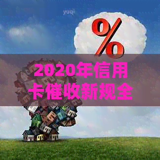 2020年信用卡新规全面解析：流程、影响、应对策略一网打尽！