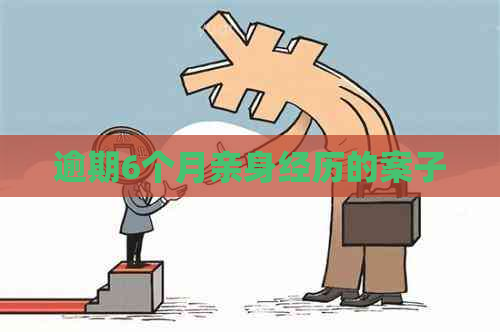 逾期6个月亲身经历的案子