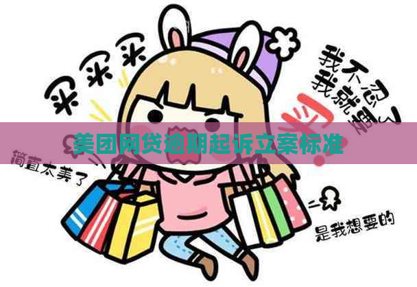 美团网贷逾期起诉立案标准