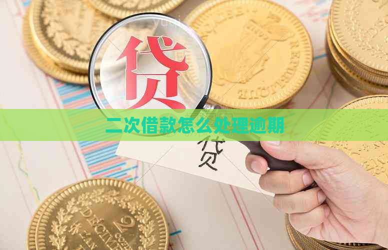 二次借款怎么处理逾期