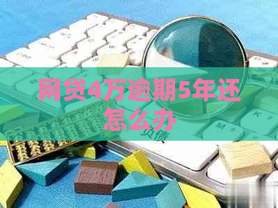 网贷4万逾期5年还怎么办