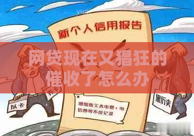 网贷现在又猖狂的了怎么办