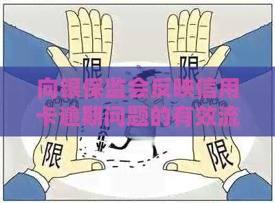 向银保监会反映信用卡逾期问题的有效流程