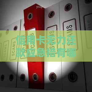 信用卡无力还款应急措有哪些