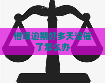 借呗逾期好多天没催了怎么办