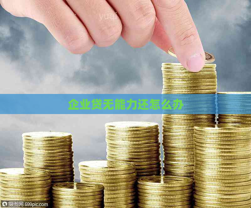 企业贷无能力还怎么办