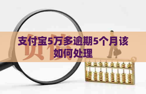 支付宝5万多逾期5个月该如何处理
