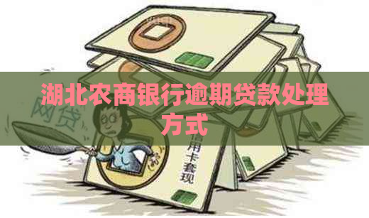 湖北农商银行逾期贷款处理方式