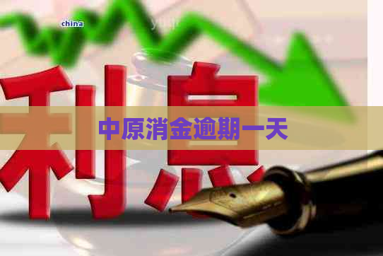 中原消金逾期一天