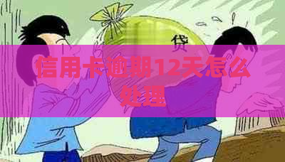 信用卡逾期12天怎么处理