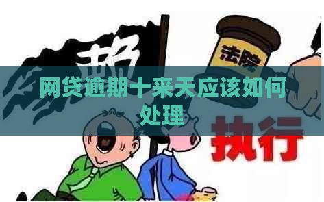 网贷逾期十来天应该如何处理