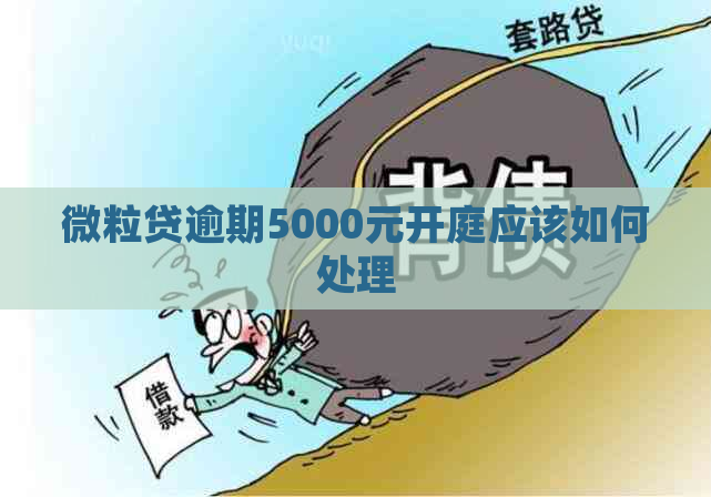 微粒贷逾期5000元开庭应该如何处理