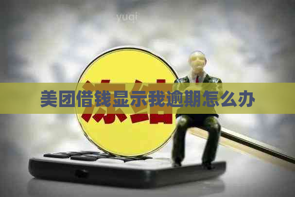 美团借钱显示我逾期怎么办