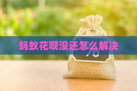 蚂蚁信用卡没还怎么解决