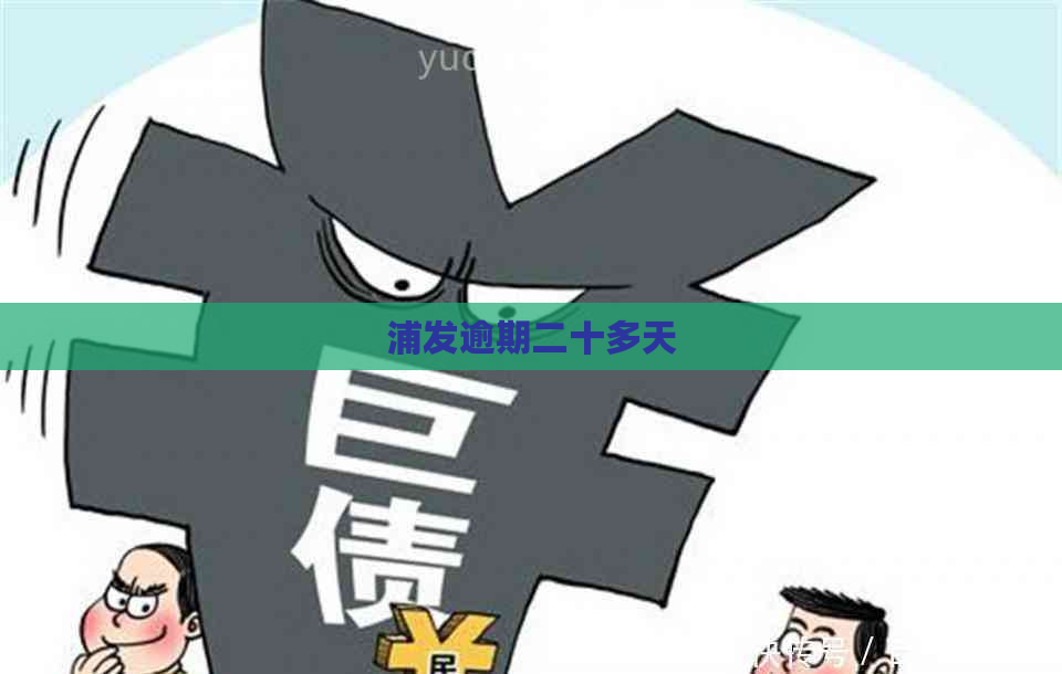 浦发逾期二十多天