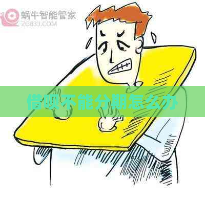 网贷不能分期怎么办