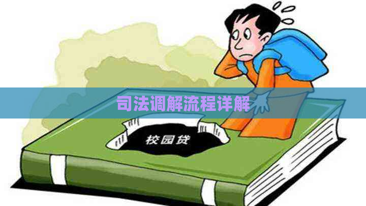 司法调解流程详解