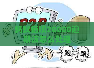 蚂蚁网贷20000逾期该怎么处理