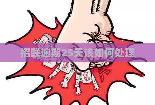 招联逾期25天该如何处理