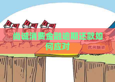 尚诚消费金融逾期还款如何应对