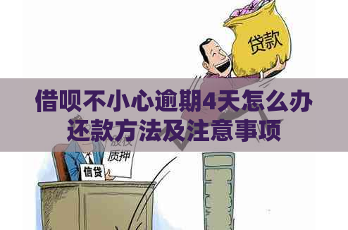 网贷不小心逾期4天怎么办还款方法及注意事项