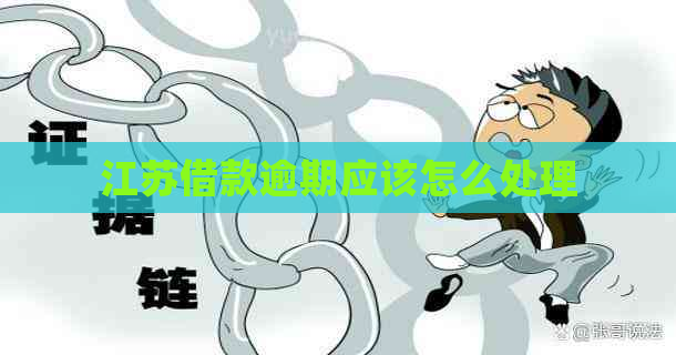 江苏借款逾期应该怎么处理