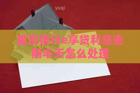 盛京银行e享贷利息逾期半天怎么处理