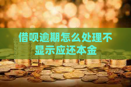 网贷逾期怎么处理不显示应还本金