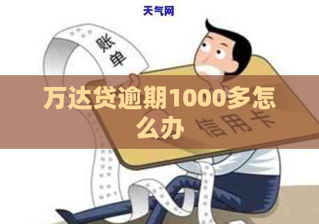 万达贷逾期1000多怎么办