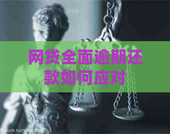 网贷全面逾期还款如何应对