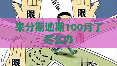 来分期逾期100月了怎么办