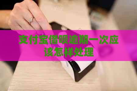 支付宝网贷逾期一次应该怎样处理