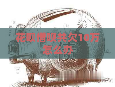 信用卡网贷共欠10万怎么办