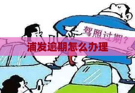 浦发逾期怎么办理
