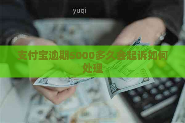 支付宝逾期5000多久会起诉如何处理
