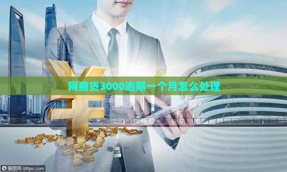 网贷3000逾期一个月怎么处理