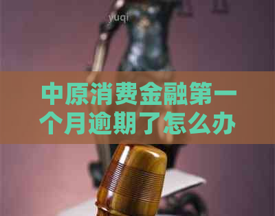 中原消费金融之一个月逾期了怎么办