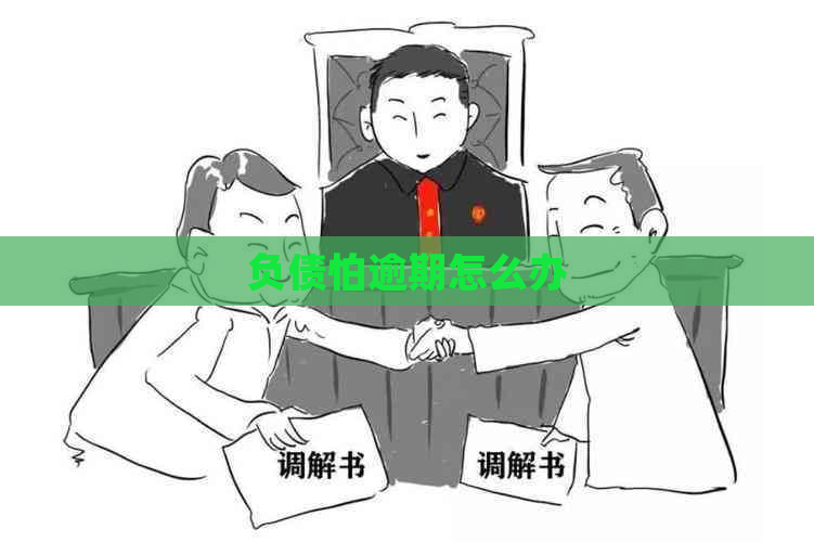 负债怕逾期怎么办