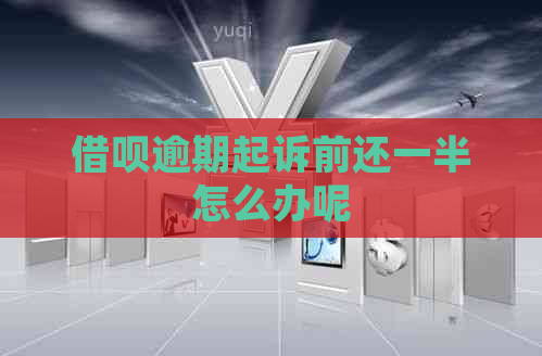 网贷逾期起诉前还一半怎么办呢