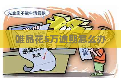 唯品花5万逾期怎么办
