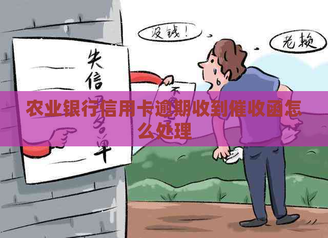 农业银行信用卡逾期收到函怎么处理
