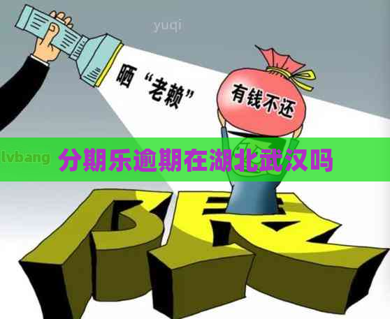 逾期在湖北武汉吗