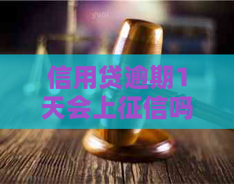 信用贷逾期1天会上吗