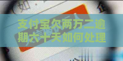 支付宝欠两万二逾期六十天如何处理
