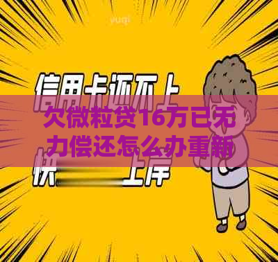 欠微粒贷16万已无力偿还怎么办重新组织财务