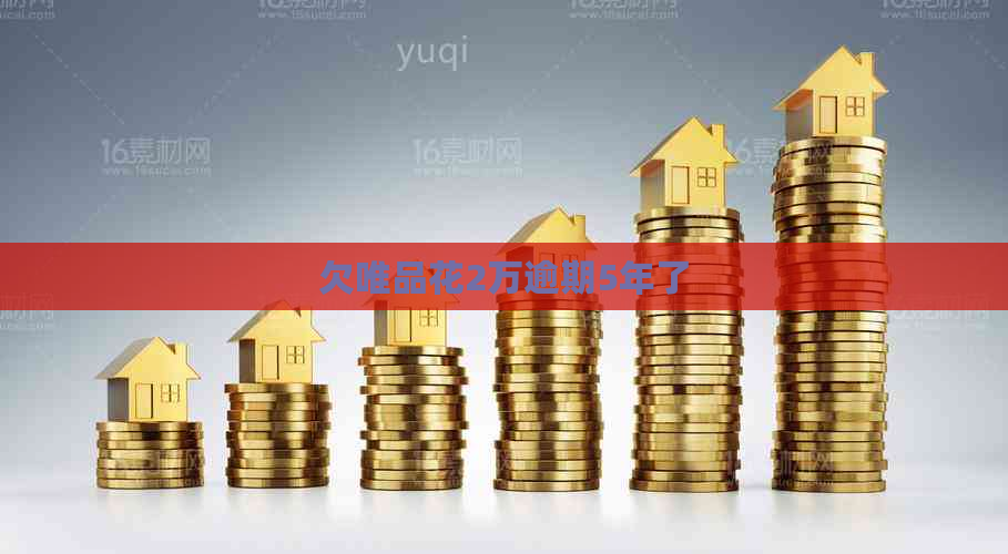 欠唯品花2万逾期5年了